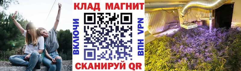 Как найти наркотики Салаир СК Мефедрон Гашиш Бошки Шишки COCAIN