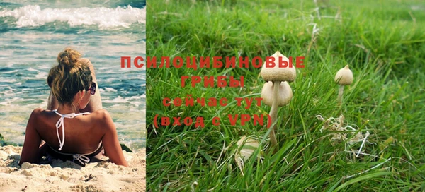 амф Беломорск