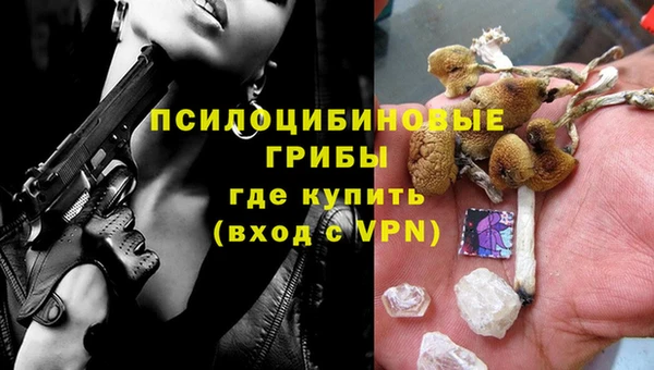 шишки Балабаново