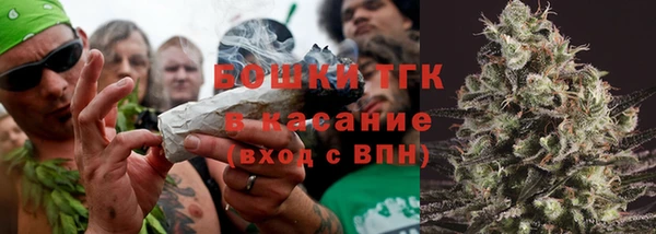 шишки Балабаново
